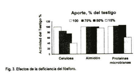 Los minerales en la reproducción bovina - Image 7