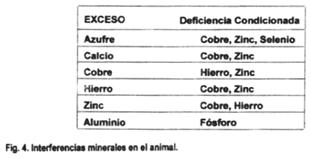 Los minerales en la reproducción bovina - Image 8
