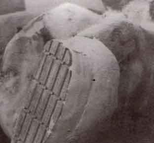 Los recortes funcionales y curativos en las pezuñas de los bovinos - Image 6