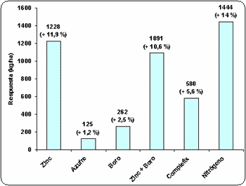 Respuesta del Maíz a la Fertilización Complementaria mediante el agregado de Nutrientes por vía Foliar - Image 4