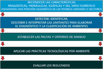 Principios para el manejo de situaciones con suelos salinos y alcalinos - Image 6