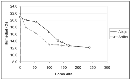 Secado de Semillas Forrajeras - Image 15