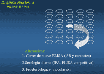 Técnicas diagnósticas para el Síndrome reproductivo y respiratorio porcino (PRRS): Interpretación. - Image 3