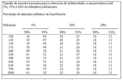 Técnicas diagnósticas para el Síndrome reproductivo y respiratorio porcino (PRRS): Interpretación. - Image 2