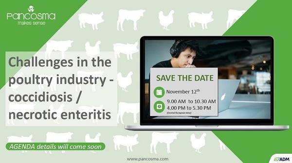 Desafíos en la industria avícola - coccidiosis / enteritis necrótica - Image 1