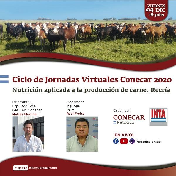Nutrición aplicada en producción de carne - Image 1
