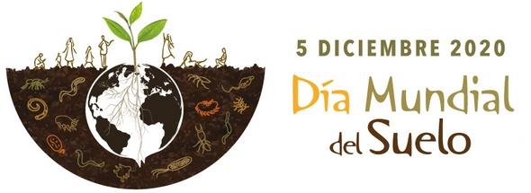 Día Mundial del Suelo: 5 de diciembre de 2020 - Image 1