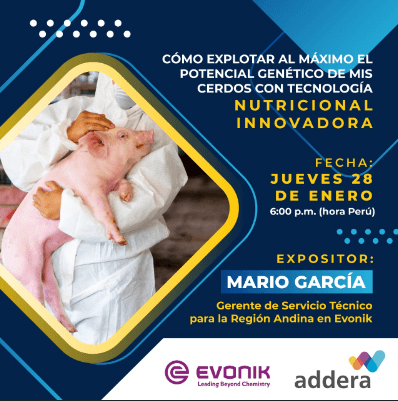 Evonik anuncia un nuevo Webinar - Image 1