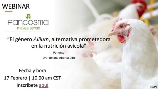 El género Allium, alternativa prometedora en la nutrición avícola - Image 1