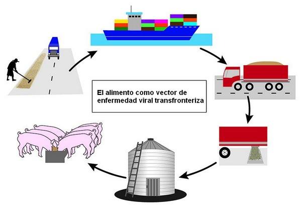 PPA: nuevo estudio resume cómo se puede propagar a través del alimento - Image 1