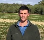 Argentina - Trigo: Qué buscan los productores a la hora de sembrar - Image 2