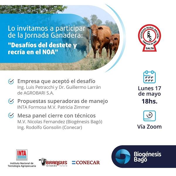 Desafíos del destete y recría en el NOA - Image 1