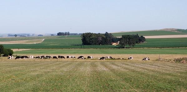 Argentina - Bioeconomía, una estrategia para reducir el estrés sobre el ambiente - Image 2