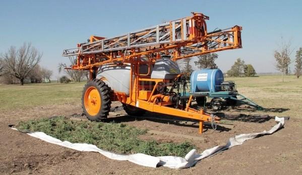 Argentina - Bioeconomía, una estrategia para reducir el estrés sobre el ambiente - Image 3