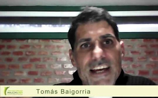Argentina - Malezas 2021: Claves del manejo de cultivos de cobertura para su control - Image 1
