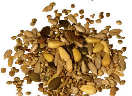 Desafíos y oportunidades: ¿Cómo es el futuro de la nutrición animal? - Image 3