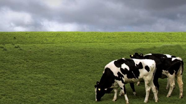 Desafíos y oportunidades: ¿Cómo es el futuro de la nutrición animal? - Image 5