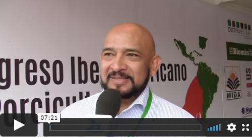 Rep. Dominicana - USDA confirma la peste porcina africana en muestras - Image 1