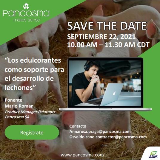 “Los edulcorantes como soporte para el desarrollo de lechones” - Image 1