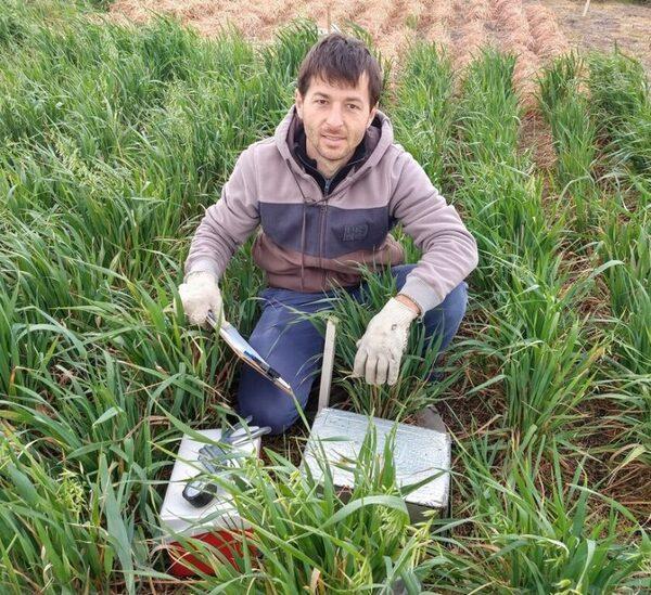 Cultivos de servicio para mitigar emisiones de gases de efecto invernadero - Image 2