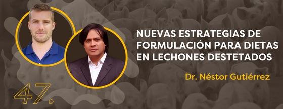 CerdoCast  #47: Nuevas estrategias de formulación para dietas en lechones destetados - Image 1