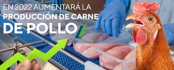En 2022 aumentará la producción de carne de pollo - Image 1