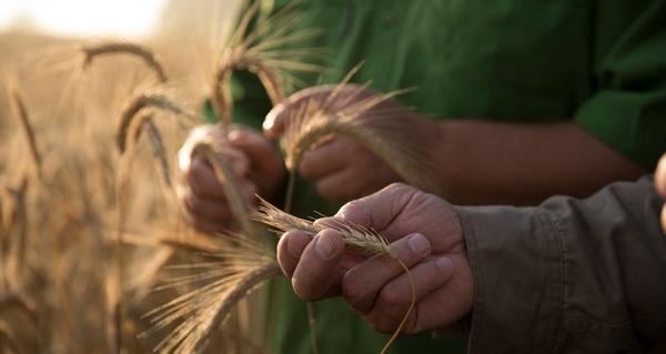 Argentina - Agroecología por y para Ingenieros agrónomos - Image 1
