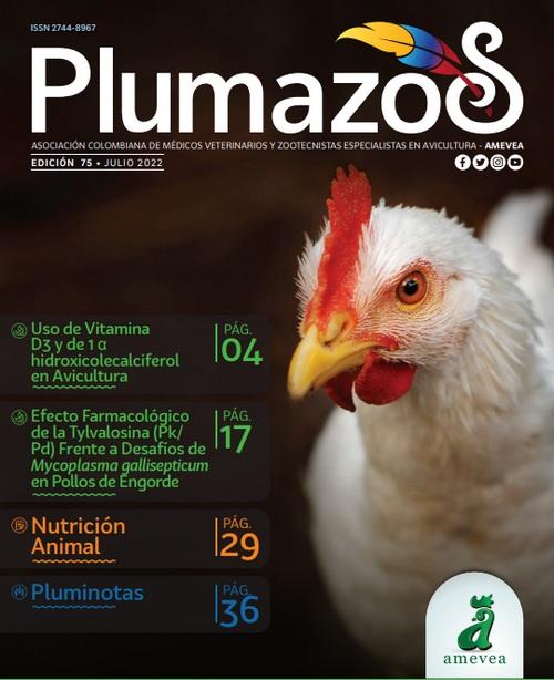 AMEVEA Colombia: Nueva Junta Directiva 2022 - 2024 - Image 1