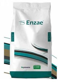 Nutrición animal basada en Enzimas: Provimi presenta Enzae - Image 1