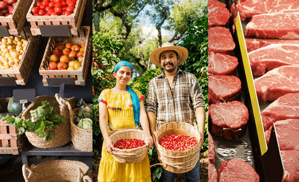 OMC busca nuevas formas de revitalizar las negociaciones sobre la agricultura - Image 1
