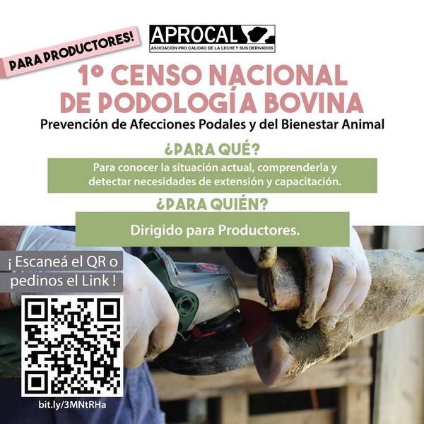 Argentina - Productores y Afecciones Podales: Encuesta Aprocal - Image 1