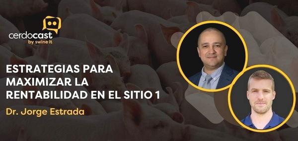 CerdoCast #72 - Maximizar la rentabilidad en sitio 1 - Image 1