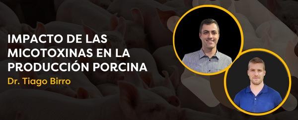 CerdoCast #75 - Impacto de las micotoxinas en la producción porcina - Image 1