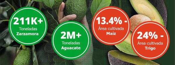 Productos de exportación desplazan la siembra de alimentos básicos - Image 1