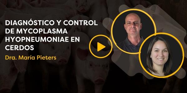 Diagnóstico y control de Mycoplasma hyopneumoniae en cerdos: Dra. Maria Pieters - CerdoCast#79 - Image 1