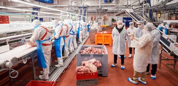 España - Cárnicas Iruña ha abierto una nueva planta - Image 2