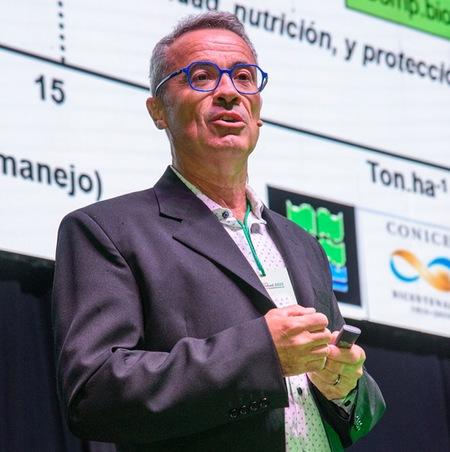 Argentina - Brechas de rendimiento: Claves para acortar diferencias en suelos más pobres - Image 4