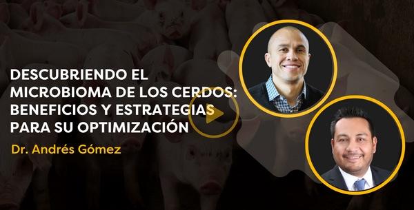 Descubriendo el microbioma de los cerdos: beneficios y estrategias para su optimización - Image 1