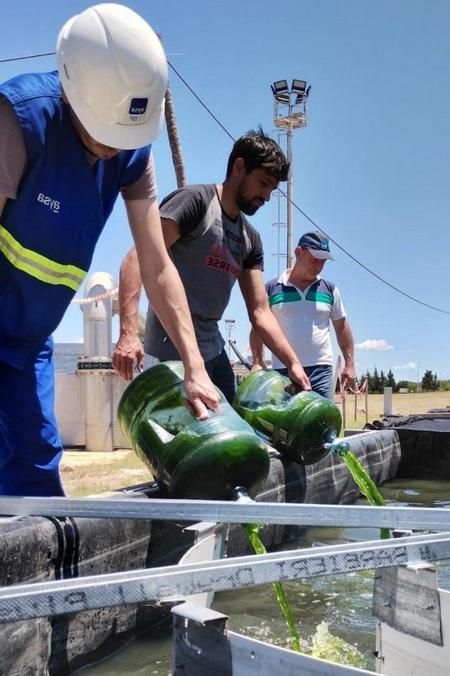 Argentina - Primera planta de tratamiento de aguas con microalgas - Image 3