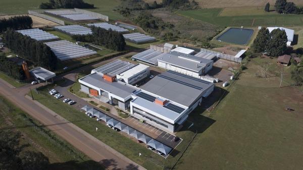 Brasil - GDM adquiere a Biotrigo Genética - Image 1