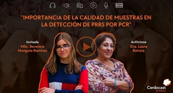 Cerdocast #113: Calidad de muestras en la detección de PRRS - Image 1