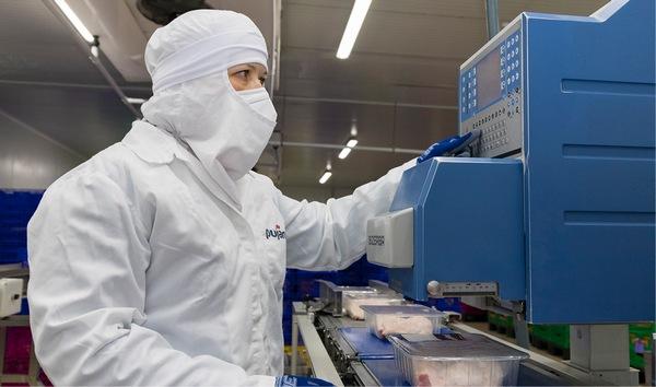 España - Presentan pollo fuente de ácidos grasos Omega-3 - Image 2