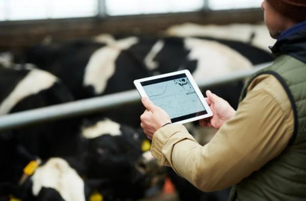 Ventajas de la inteligencia artificial en veterinaria: desde la inseminación artificial al control de zoonosis - Image 1