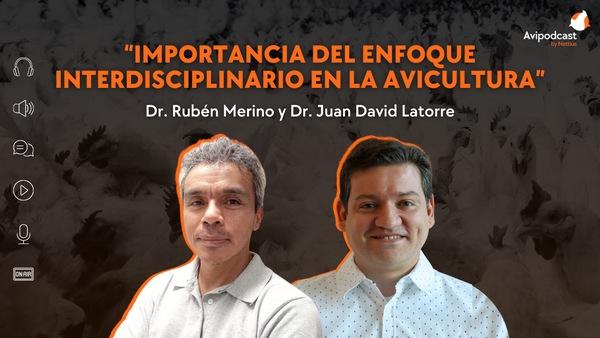 Avipodcast #31: Importancia del enfoque interdisciplinario en la avicultura - Image 1