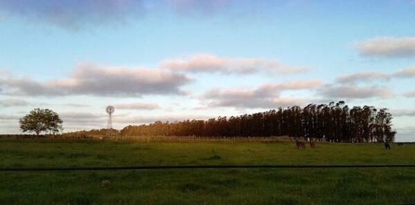 Argentina - Radiografía ambiental de un establecimiento agropecuario bonaerense - Image 2
