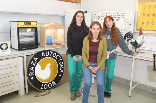 España - Salvaguardando el futuro: Banco de Germoplasma de la Gallina Murciana - Image 3