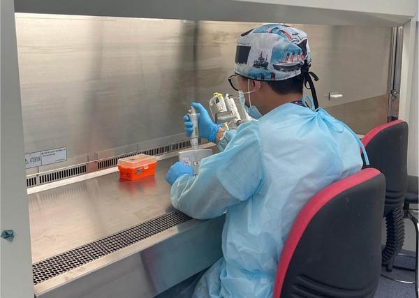Colombia - Orégano, alternativa natural para atacar la salmonelosis aviar - Image 4