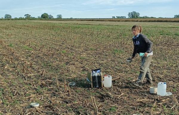 Argentina - Intensificación agrícola: Cómo mejorar los suelos con más cultivos - Image 2