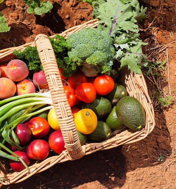 Simposio FERTILIDAD 2025 - Una Salud: Nutriendo suelos, cultivos y personas - Image 1