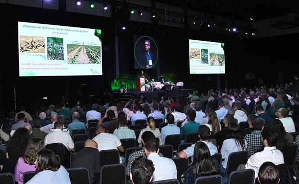 Argentina - Pérdida de 6 kilos de fósforo por año por hectárea producida - Image 5
